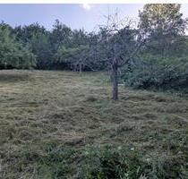 Wiesen-Gartengrundstück in Wäldenbronn zu verpachten - Esslingen am Neckar Hegensberg