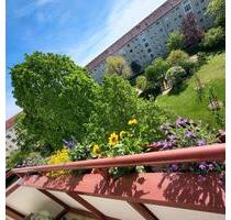 Zentrale 3-Raum Wohnung - 701,00 EUR Kaltmiete, ca.  62,88 m² in Dresden (PLZ: 01277) Blasewitz