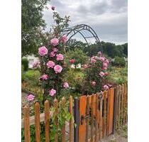 Kleingartenparzelle 270m² in Leipzig Leutzsch