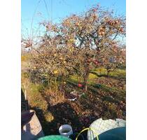 Kleingarten - 150,00 EUR Kaltmiete, ca.  0,00 m² in Leipzig (PLZ: 04317) Südost