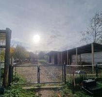 Einfamilienhaus mit Pferdeparadies - Seelow