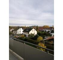 lichtdurchflutete 3 Zi. Whg mit Balkon und TGL-Bad - Aschaffenburg Damm
