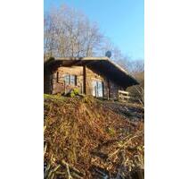 Nähe Osburg ( Hunsrück ) Holzblockhaus im Wald