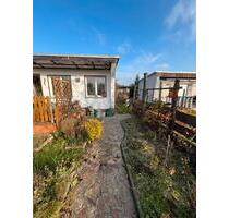 Pachtgarten in Torgau abzugeben