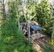 Tiny House Ferienhaus See Schweden Natur Pur Waldbaden Cabin - Sinsheim