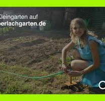 Grundstück Garten Kleingarten Freizeit zur Pacht - Stuttgart Zuffenhausen