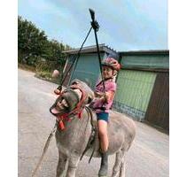 FerienwohnungLast-MinuteBauernhof Urlaub Urlaub mit HundRad - Hanerau-Hademarschen