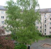 Neu renoviertes Zuhause! Helle 3-Zimmer-Wohnung ab sofort frei - Nürnberg Gärten bei Wöhrd