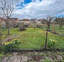 Schrebergarten, Gartengrundstück, Garten zu vermieten, Heilbronn - Ketsch