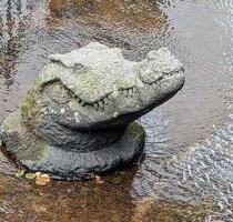 Reif für die Insel? 2-Zimmer-Wohnung in Freiburg zum Verkauf - Freiburg im Breisgau