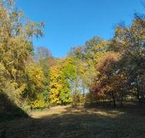 Traumhaftes Grundstück in Nossen - Döbeln