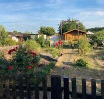 Kleingartenparzelle in Leipzig Gohlis