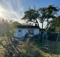 Schöner Kleingarten mit Obstbäumen nah am Cossi - Leipzig Südwest