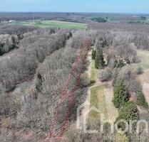 Kompakter Laubmischwald ca. 1.740 m² bei Sangerhausen - Idylle pur in der Waldsiedlung