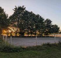 Resthofhälfte mit Stallungen, Scheune und Reitmöglichkeiten - Bad Bramstedt