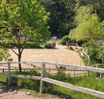 Charmanter Hof mit Boxen, Laufstall und Paddocktrail - Lindlar