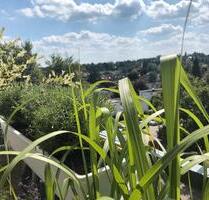 2,5 ZKB in Neusäß Nähe Uniklinik - Lauingen (Donau)