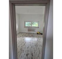 Neu renovierte Wohnung in Friesenheim zu vermieten - Lahr (Schwarzwald)