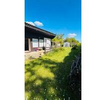 Garten abzugeben - 3.300,00 EUR Kaltmiete, ca.  0,00 m² in Dresden (PLZ: 01139) Pieschen