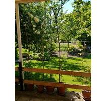 Zauberhafter Pachtgarten, Kleingarten in Krebsförden - Schwerin Gartenstadt