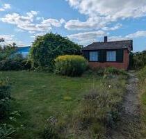 Schrebergarten Kleingarten mit Potential abzugeben - Braunschweig Wabe-Schunter-Beberbach
