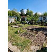 Kleingarten Dringend abzugeben - 3.200,00 EUR Kaltmiete, ca.  0,00 m² in Elmenhorst/Lichtenhagen (PLZ: 18107)