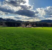 Urlaub im Allgäu mitten in der Natur, Eselhof Bad Grönenbach