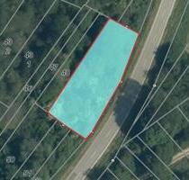 2 Waldgrundstücke in Weiler 99 - 1 - Boppard