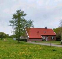 Ferienwohnung Ferienhaus Moormerland Ostfriesland Nordsee Hunde i