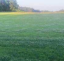 Ackerland und Wald - 18,00 EUR Kaltmiete, ca.  0,00 m² in Mainburg (PLZ: 84048)