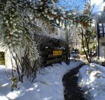 Weihnachten, Winter, Ski, Zeugnisferien, Ferienwohnung Fewo Winterberg Familie Gruppe