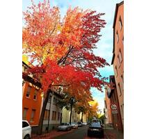 3-Zimmerwohnung in Osnabrück-Schinkel, ruhig, großer Garten