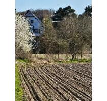 Haus mit viel Land zu Tierhaltung geeignet, Nähe Salzwedel - Berlin Steglitz-Zehlendorf