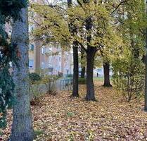 Nürnberg 90480. 1 Zimmer Wohnung 31 m. Ab Sofort.Oder ab 02.2026