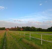 ANFRAGESTOP!! 2-Zimmer-Wohnung für naturverbundene Menschen - Ahrensbök