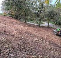 Wiese frisch geroded - 3.200,00 EUR Kaltmiete, ca.  0,00 m² in Schorndorf (PLZ: 73614)