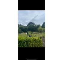 Schrebergarten 608qm2 - 3.000,00 EUR Kaltmiete, ca.  0,00 m² in Nortorf (PLZ: 24589)