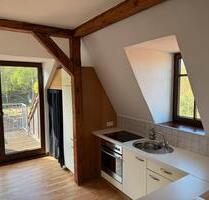 Dachgeschoss Wohnung 2 Raum Wohnung - Ilmenau