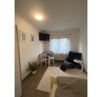 Voll möblierte 1-Zimmer-Wohnung 23 m² – Top Lage Mannheim - 1.11