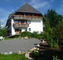 Zwei - Zimmer - Apartement - 750,00 EUR Kaltmiete, ca.  40,00 m² in Lenzkirch (PLZ: 79853)