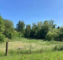 Schönes Freizeitgrundstück mit Flusszugang - Altenglan
