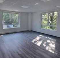 Büro zu vermieten, zentrale Lage, provisionsfrei, Neubau - Henstedt-Ulzburg