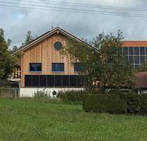 Neue Wohnung, ökol. Holzbau 130m², 3 Schlafzimmer, zu vermieten - Mittelneufnach