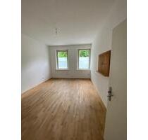 Geräumige 3-Zimmer-Wohnung in Rednitznähe II - Fürth Altstadt
