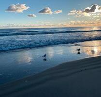 Ferienwohnung Sellin Rügen 2026