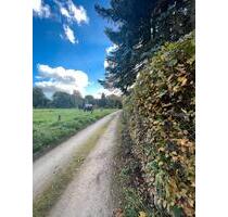 Wochenendhaus Grundstück Sanierungsobjekt in Dresden Rochwitz