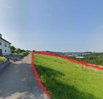 Weidingen (Wiltz): Wiese zu Verpachten - Dahnen