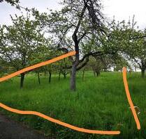 Wiese Garten Freizeitgrundstück Stückle Streuobstwiese - Remshalden