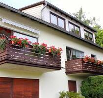 Renovierte 45qm Wohnung in Bad Sachsa