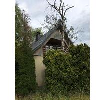 Handwerker-Traum im Dornröschenschlaf - Bad Klosterlausnitz